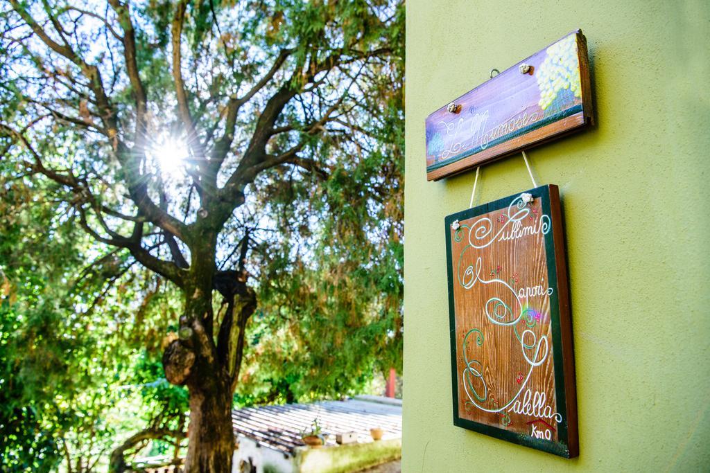 Acasamia Resort San Cipriano Picentino Exterior foto